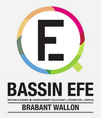 L`Instance Bassin EFE est une plateforme de concertation et d`animation avec les acteurs au niveau local en vue d’une meilleure cohérence de l`offre de l`enseignement et de la formation par rapport aux besoins des entreprises et en tenant compte de l`offre existante. Elle met en place des pôles de synergie en vue de développer des actions concrètes. Elle a également une compétence d’avis dans les matières relatives à l’emploi, à la formation et à l`enseignement.